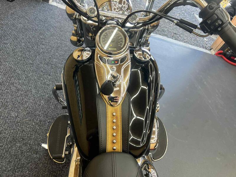 HARLEY-DAVIDSON Softail